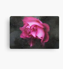 Grunge Blush Canvas Print