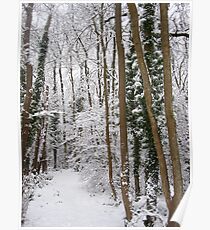 Narnia... Poster