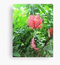 Dangly Flower Canvas Print