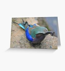 Time for Tea! Greeting Card