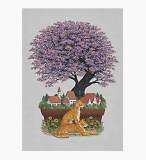 Bonsai Village Photographic Print