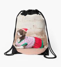 Bindy... Dressed Up For Xmas..... Drawstring Bag
