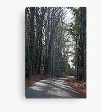 Country Road Canvas Print