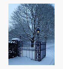 Narnia? Photographic Print
