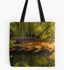 Lying in Wait, Tübingen, Germany Tote Bag