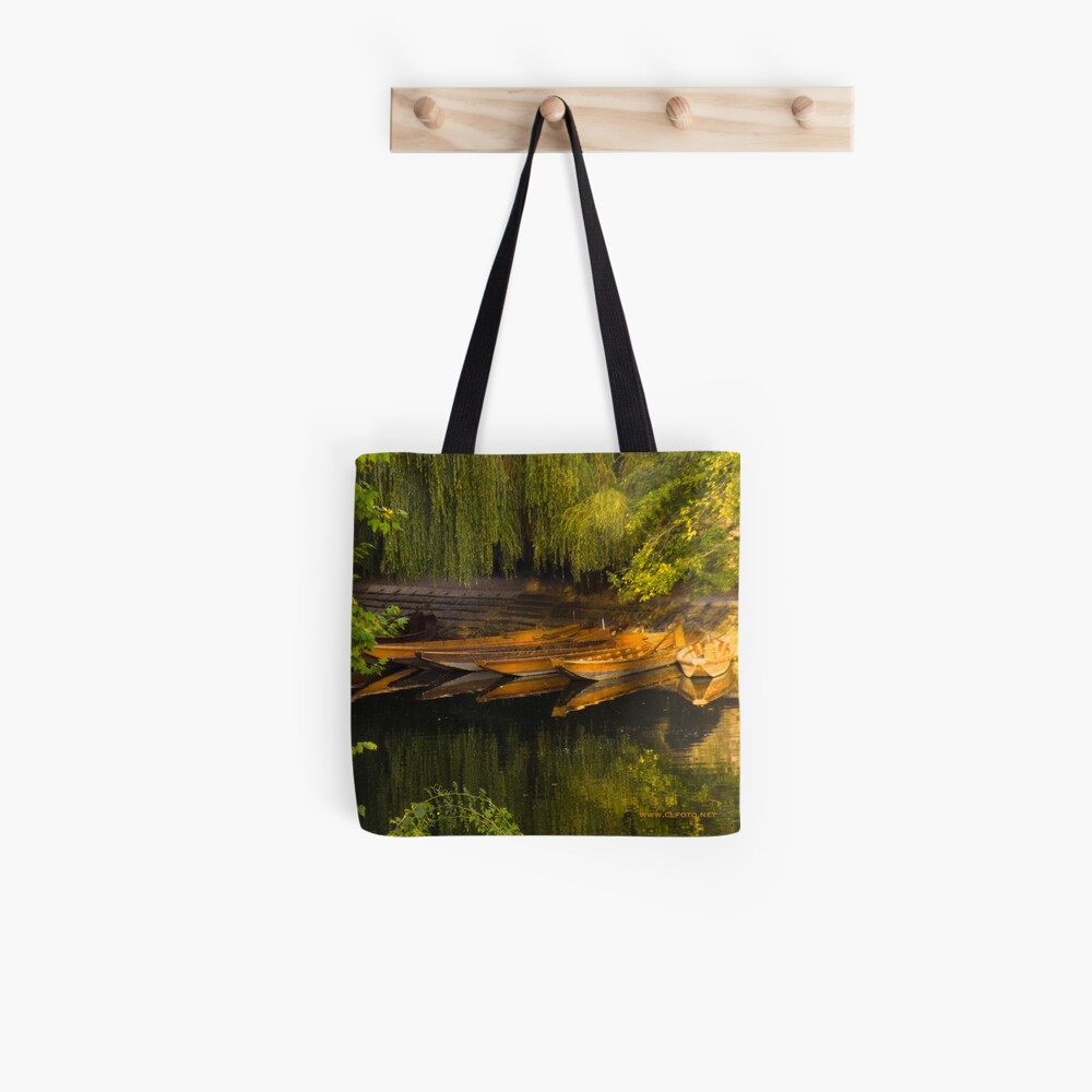 Lying in Wait, Tübingen, Germany Tote Bag