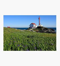 A Nice Spot on a Sunny Day Photographic Print