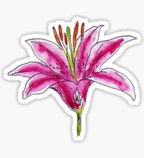 Lily stargazer watercolor Sticker