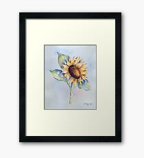 Blooming Sunflower Framed Print