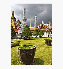 tHE rOYAL gARDEN Photographic Print