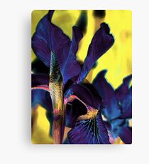 Upright ! Canvas Print