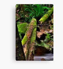 Green Log Canvas Print