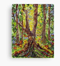 And Let There Be Light.. Canvas Print