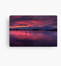 Rannoch Moor - sunrise Canvas Print