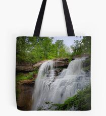Brandywine Falls Tote Bag