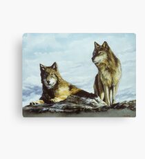 Above the Timberline Canvas Print