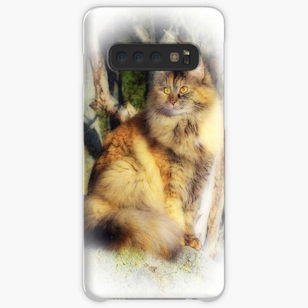 Norwegian Forest Cat Samsung Galaxy Snap Case