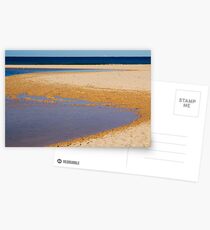 North Curl Curl Postcards
