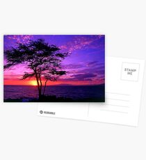 sun set Postcards