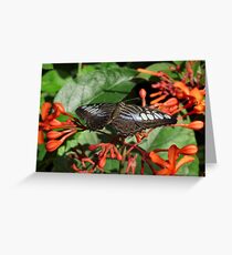 Clipper. Greeting Card