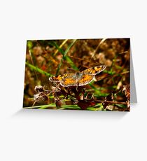 Crescent In Flight. Greeting Card