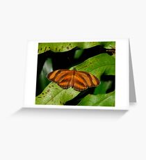 Oak Tiger. Greeting Card