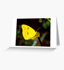 Sulphur. Greeting Card