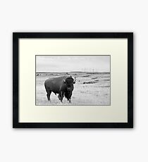 Power of the Prairie Framed Print