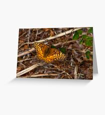 Varigated Fritillary. Greeting Card