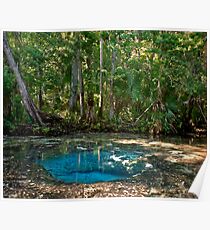 Chassahowitzka Springs. Poster