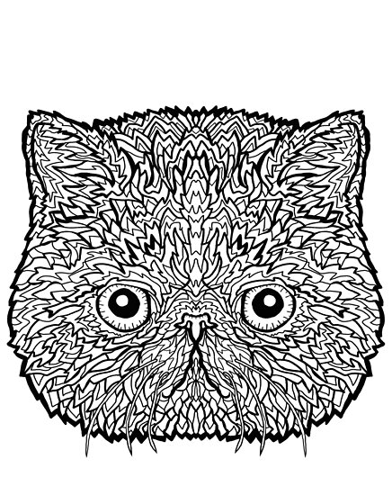 Download "Exotic Shorthair Cat - Complicated Coloring" Poster by complicolor | Redbubble