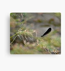 Among Canvas Print