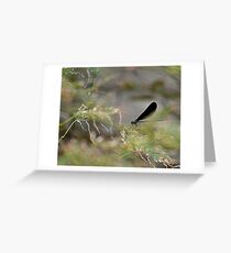Among Greeting Card