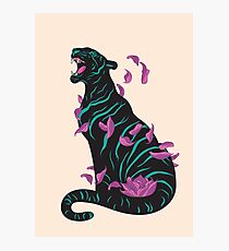 Black tiger Photographic Print