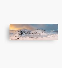 Winter finds Blue Lake, Kosciuszko National Park, NSW, Australia Metal Print