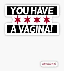 Wrestling Memes- "You have a Vagina!" Sticker