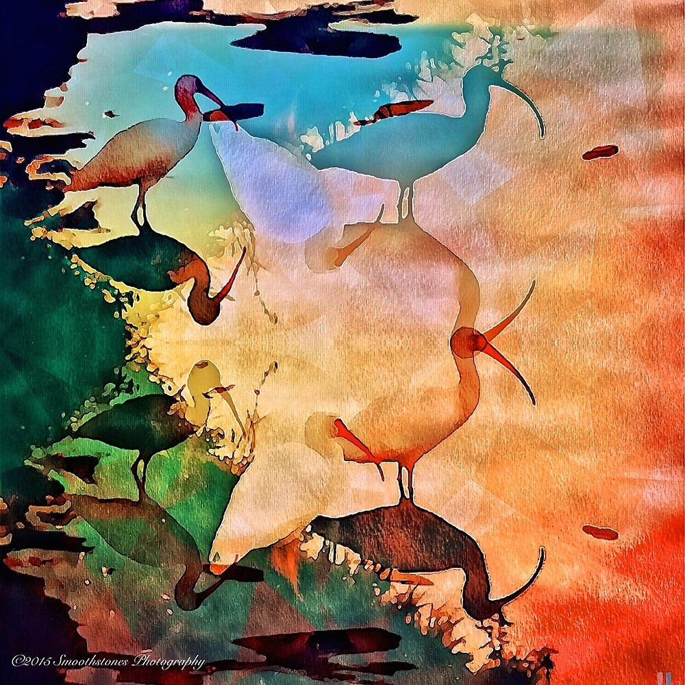 "Shore Birds Orlando Florida" by smoothstones | Redbubble