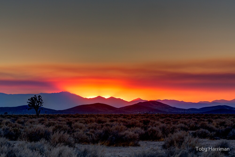 Mojave Desert Sunset By Toby Harriman Redbubble 7408