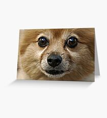 Omar Greeting Card