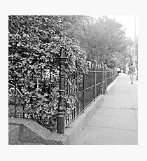 Suburb Photographic Print