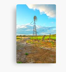 Standing Tall.... Canvas Print