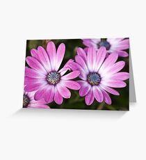 Flowers Greeting Card
