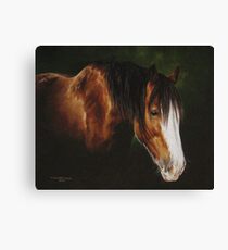 Gentle Glow Canvas Print