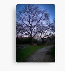 Nature Canvas Print