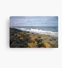 Washington Rocks #5. Flagler County. Metal Print