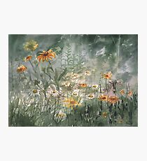 Plein Air 7 Photographic Print
