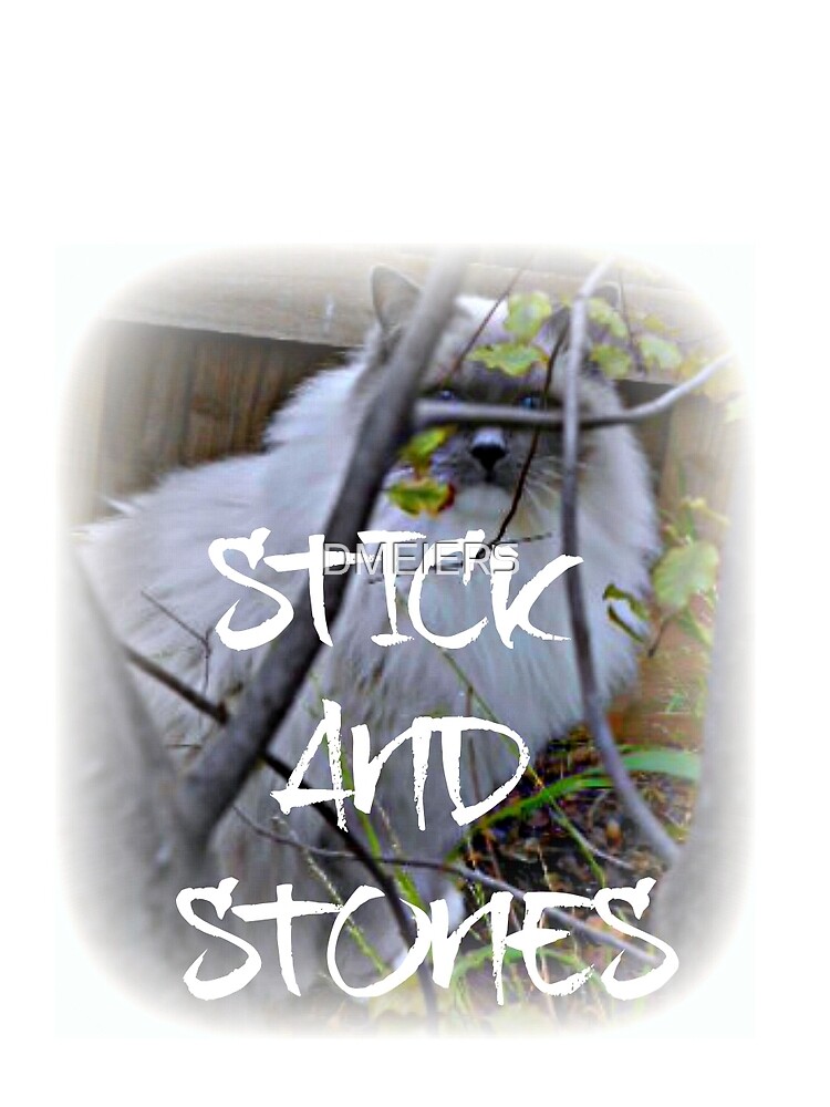 Sticks and Stones by Melissa Lennig