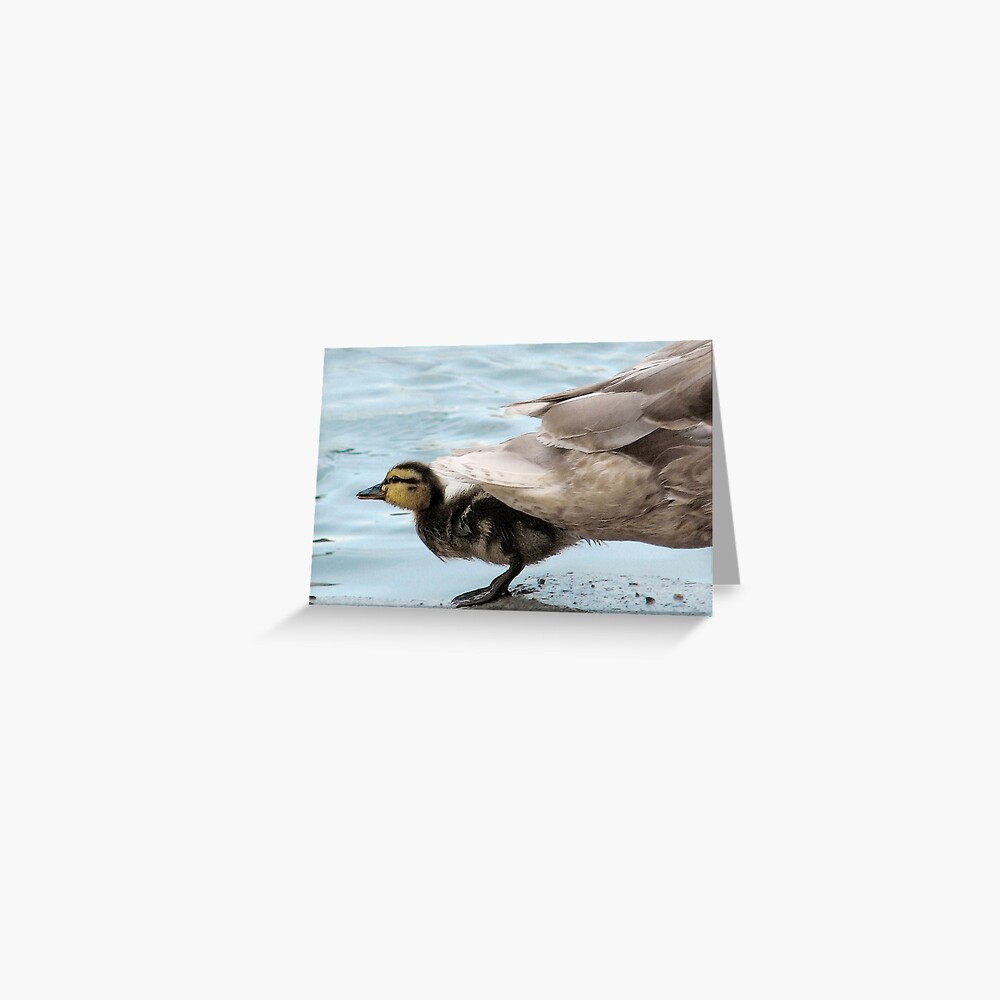 Duck Tails Greeting Card