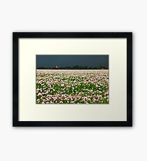 Drugs..... Framed Print