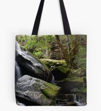 Valley Fall Tote Bag